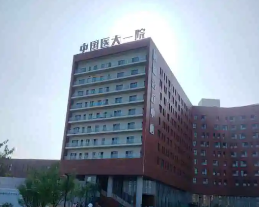 中国医科大学附属第一医院整形科，实力医院大推荐~