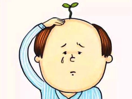 嘉兴正规医院植发一般多少钱？上榜前三的都是公立医院
