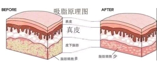 杭州艺星整形美容医院医院简介，真实案例/优势技术在线获取