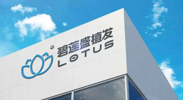 上海碧莲盛植发怎么样？医院医生口碑评价解读