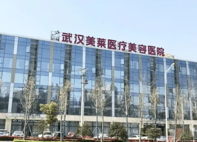 武汉美莱医疗美容医院是公立医院吗？详情查看颌角案例/附项目问答