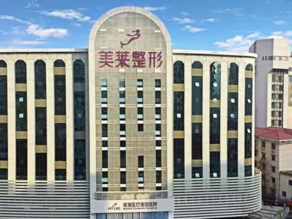 上海美莱医疗美容门诊部隆鼻果有多好？案例告诉你答案