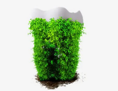 苏州市中医院补牙大概多少钱？医生推荐、前门牙种植案例一览