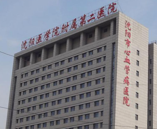 沈阳医学院第二附属医院整形科，专业医生专业操作
