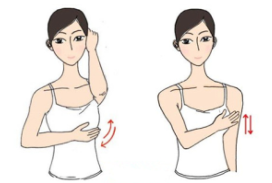 74d1fe69-892c-446c-86a7-e71d0114eab1.png 74d1fe69-892c-446c-86a7-e71d0114eab1.png