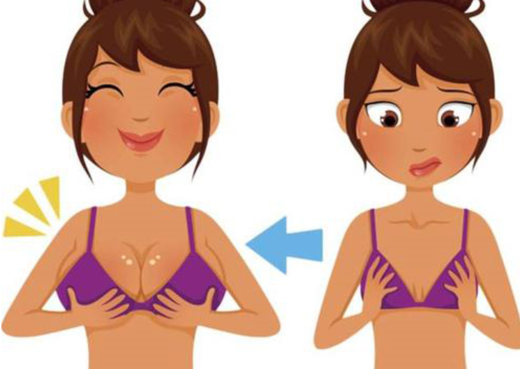 1aed9e79-ab04-4ebf-a86e-5e3d4ee60f75.png 1aed9e79-ab04-4ebf-a86e-5e3d4ee60f75.png