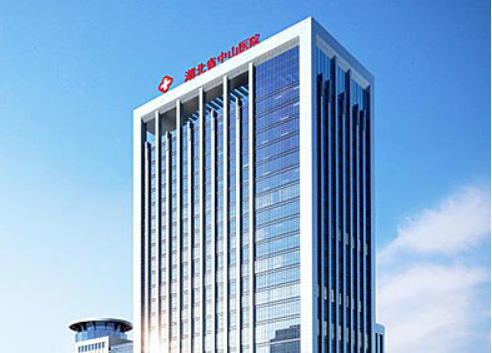 武汉大学中山医院整形科，2023全新价格表