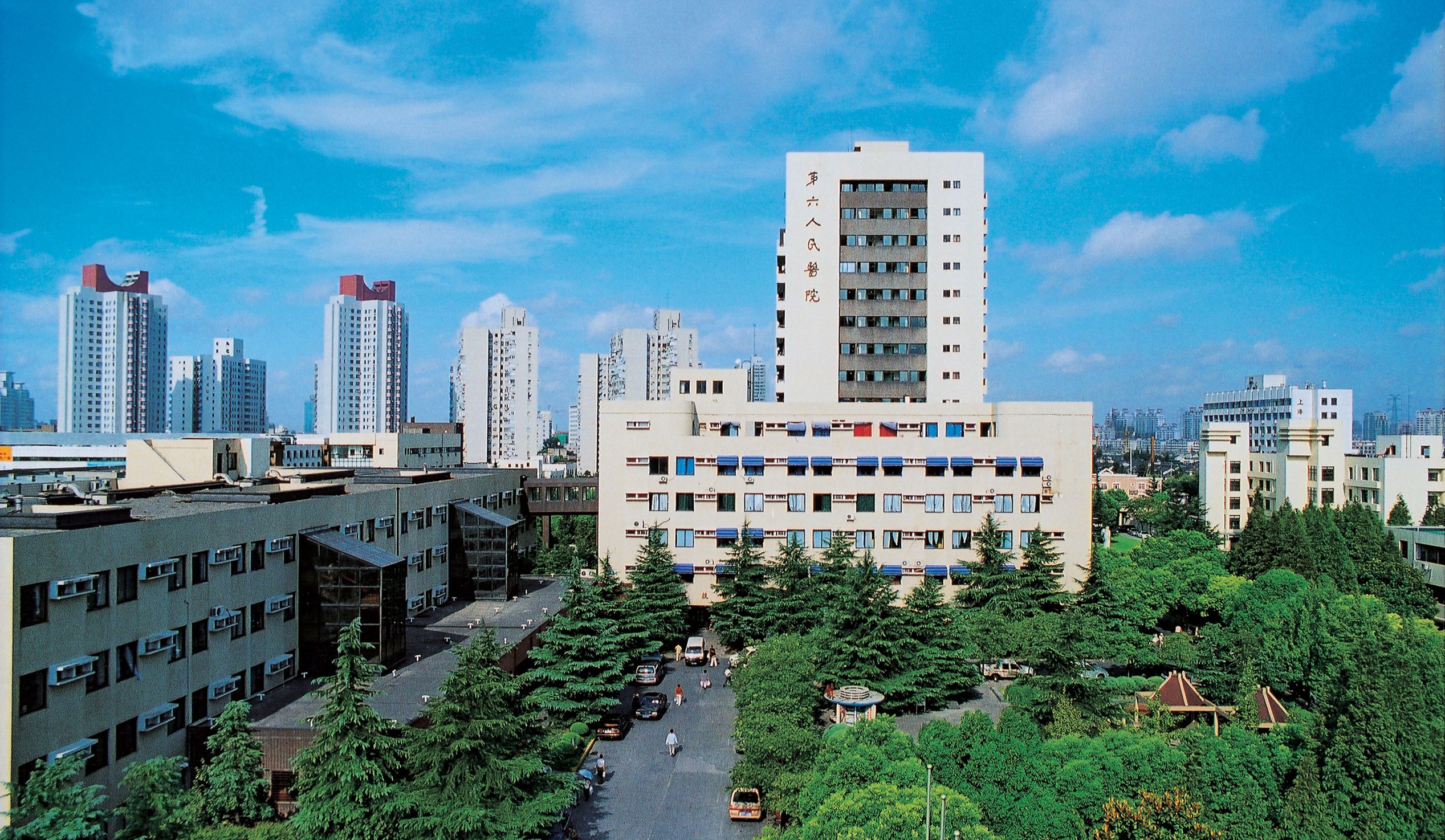 上海市第六人民医院整形外科眼部手术，专业靠谱医院推荐