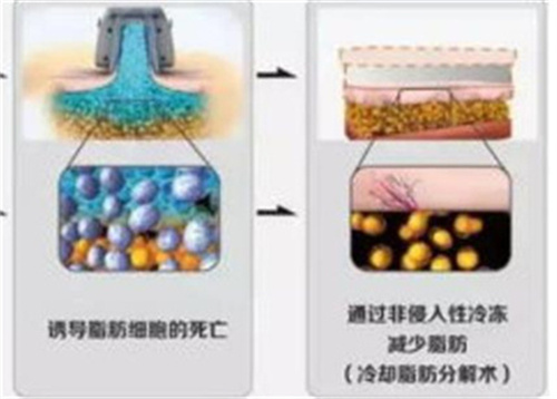 微信截图_20230413201435.jpg