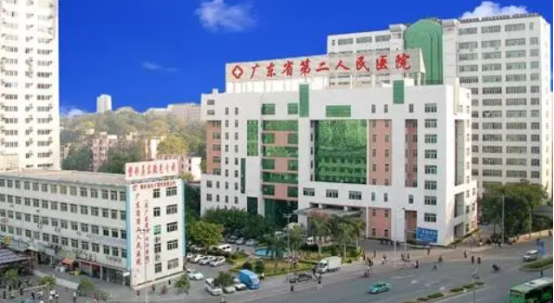 广东省第二人民医院整形科医生名单，这几位手法稳经验足