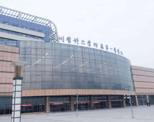 温州医科大学附属第一医院整形科，附加2023价格项目