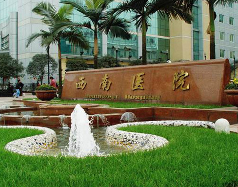 西南医院整形科，隆鼻术前术后对比