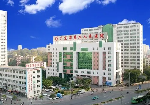 广东省第二人民医院整形科，全新科室信息