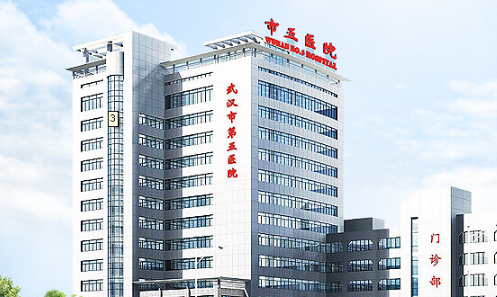 武汉第五医院医疗美容科价格表2023，软骨隆鼻医生手术风格大揭秘