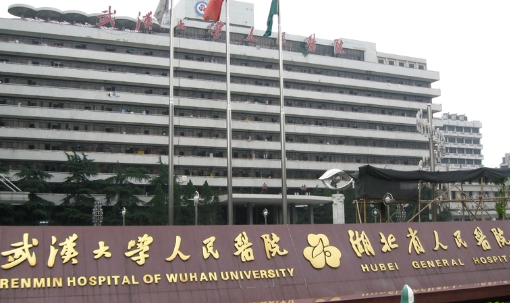 湖北省人民医院整形科正颌手术费用2023-2024，医生做下颌角手术怎么样