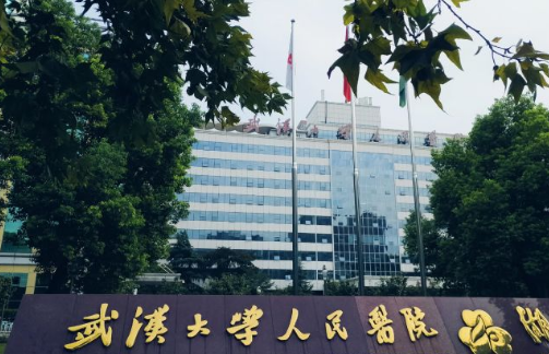 武汉大学人民医院隆鼻手术效果展示/医生名单/整形费用