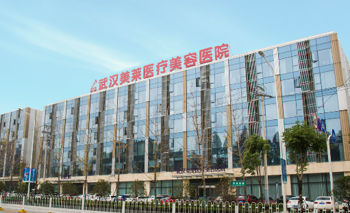武汉美莱医疗美容医院整形价格_专家口碑点评/案例分享