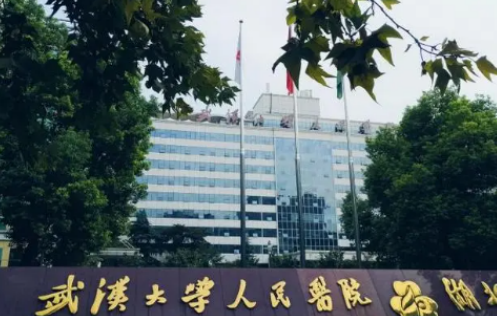 武汉大学人民医院整形科那个医生好？推荐指南：眼袋案例+价目