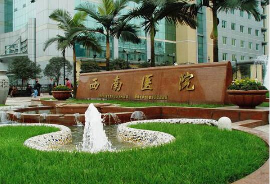 重庆西南医院种植头发费用高吗？植发3000个单位多少钱