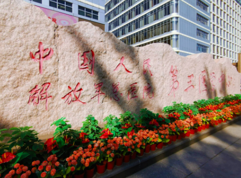 解放军总医院第三医学整形中心，假体隆胸全新案例