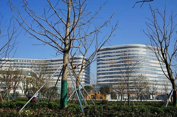 湖州市中心医院整形外科项目好吗，医生详细信息介绍