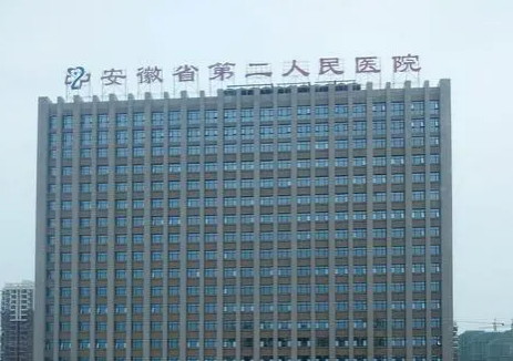 安徽省第二人民医院烧伤整形科隆鼻需要多少钱？全新价格表新鲜出炉