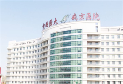 盛京医院滑翔分院医疗整形美容科能开展隆鼻吗？口碑咋样？案例前后图都有