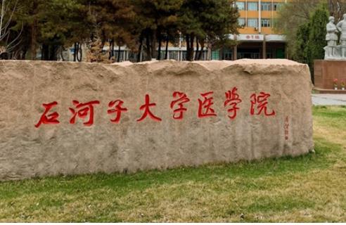 石河子大学医学院附属医院整形科假体隆鼻案例真实吗？术前术后差距大吗?提前预览