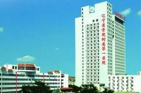 辽宁医学院附属第一医院烧伤整形科_手术价格、案例在线查询