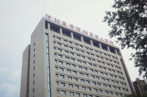 沈阳医学院附属第二医院整形美容科如何？医生技术、口碑、收费价格等深扒