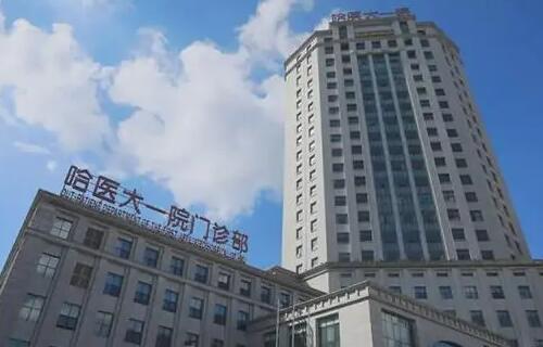 哈医大一院正规吗？擅长什么项目？