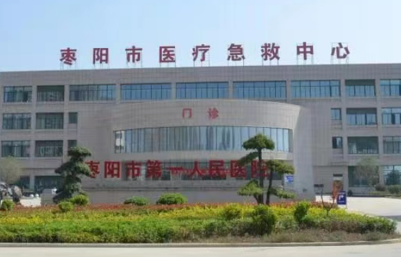 枣阳市人民医院烧伤整形美容科案例参考，医生简介/手术价格概况查询