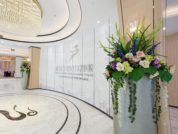 武汉美莱整形医疗美容医院怎么样？附有详细医生和特色项目汇总！