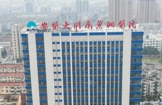 安徽医科大学附属巢湖医院烧伤整形科价钱表、医生简介、机构口碑、资质等同步