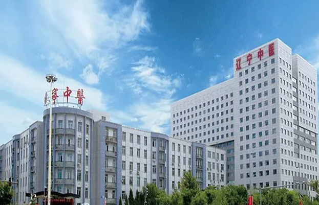 辽宁中医药大学附属医院医学美容科好吗?？隆鼻案例+专业医院信息
