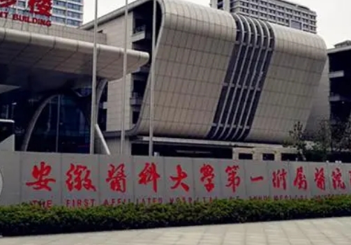 安徽医科大学第一附属医院整科主任是谁？技术测评