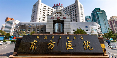 北京中医药大学东方医院专家介绍，隆鼻技术特色