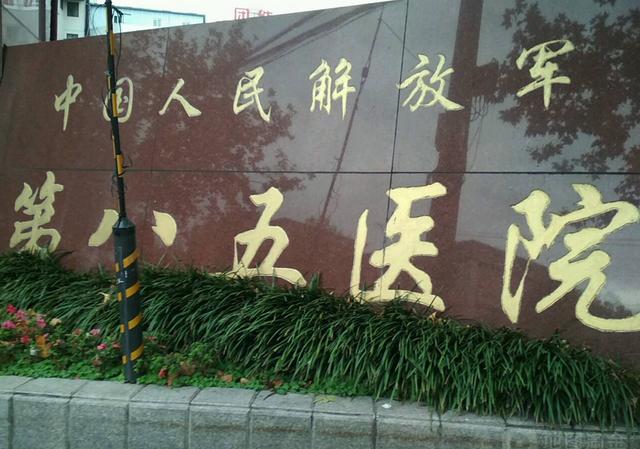 上海解放军第八五医院整形美容科，口碑评价真实叙述