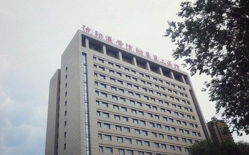 沈阳医学院附属第二医院整形美容科好吗？双眼皮真人案例