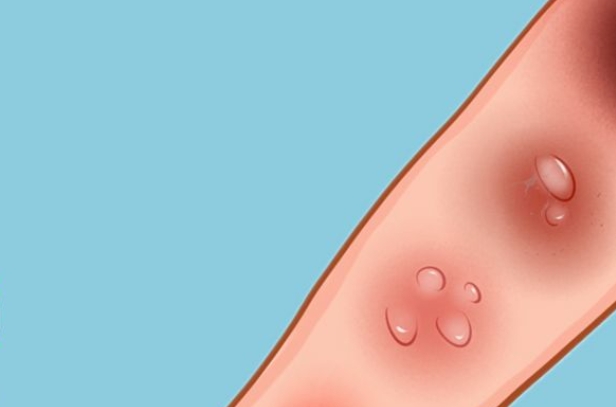 微信截图_20231212124731.png 微信截图_20231212124731.png