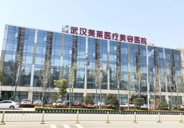 武汉美莱医疗美容医院.png