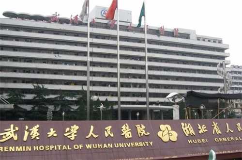 武汉大学人民医院整形科怎么样啊？参考案例过程