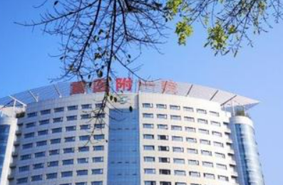重医附一院整形美容科价格表_坐诊专家在线获取！