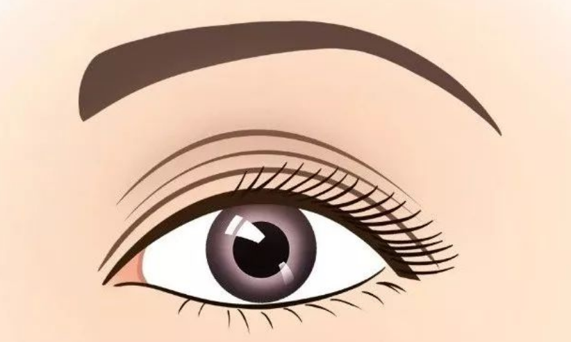 微信截图_20240126083050.png 微信截图_20240126083050.png