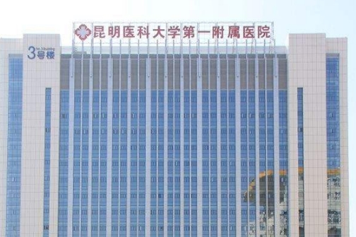 昆明医科大学第一附属医院烧伤整形（颌面）外科隆鼻多少钱？医生详情+擅长项目