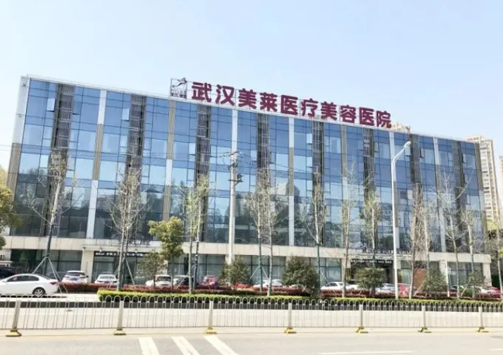 武汉美莱整形医院隆胸多少钱？技术好吗？术后效果看这里