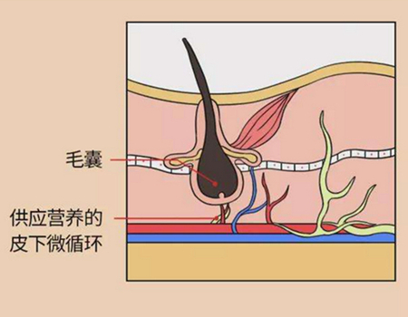 保定植发怎么收费怎么样？这三家毛发种植医院口碑技术好