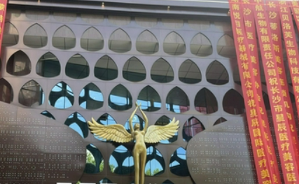 长沙瑞星医疗美容医院怎么收费的？给出机构简介及优势亮同步参考！