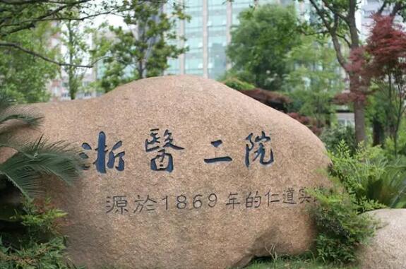浙江大学医学院附属第二医院整形科实力如何？自体软骨隆鼻案例，术前术后对比图