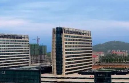 山东省立医院整形科靠谱吗？医生简介_坐诊医院介绍！收费表速览~